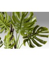 MONSTERA- PLANTA ARTIFICIAL H210